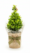 Example product
